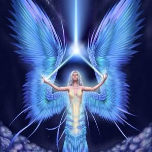 Meet your Posher, Peier